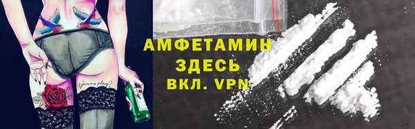 прущие крисы Ельня