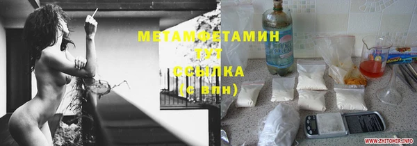прущие крисы Ельня