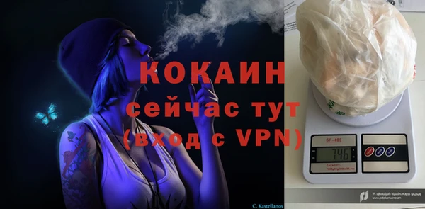прущие крисы Ельня