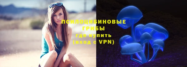 МДМА Елизово