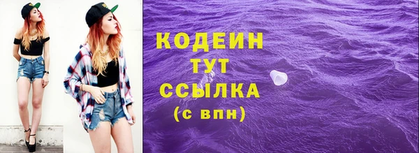 прущие крисы Ельня