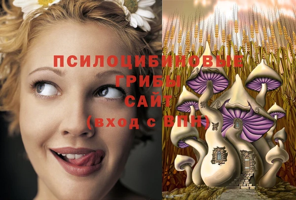 наркотики Елабуга