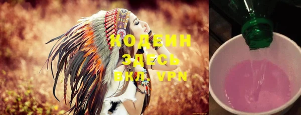 прущие крисы Ельня