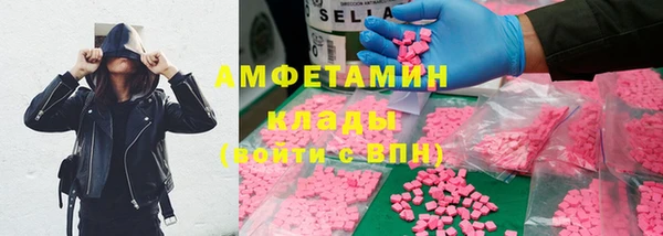 прущие крисы Ельня