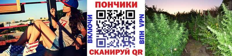 Купить где  Лобня  Конопля гибрид 